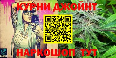 гидра Нальчик