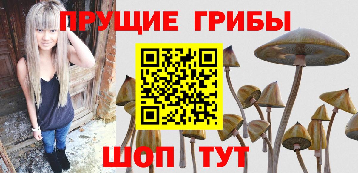 Псилоцибиновые грибы ЛСД Элиста