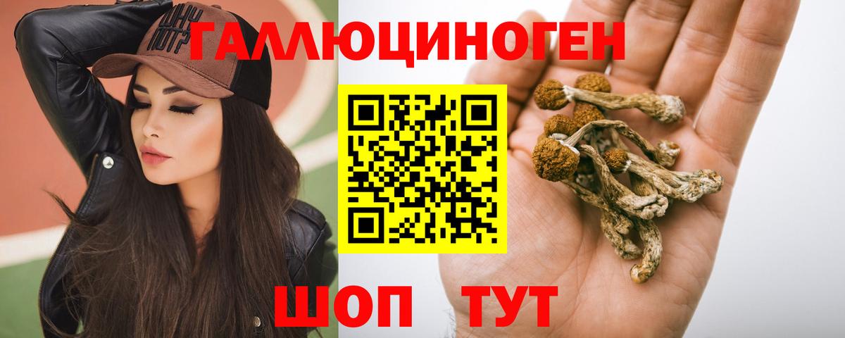 Элиста  Галлюциногенные грибы мухоморы  Вход с VPN 