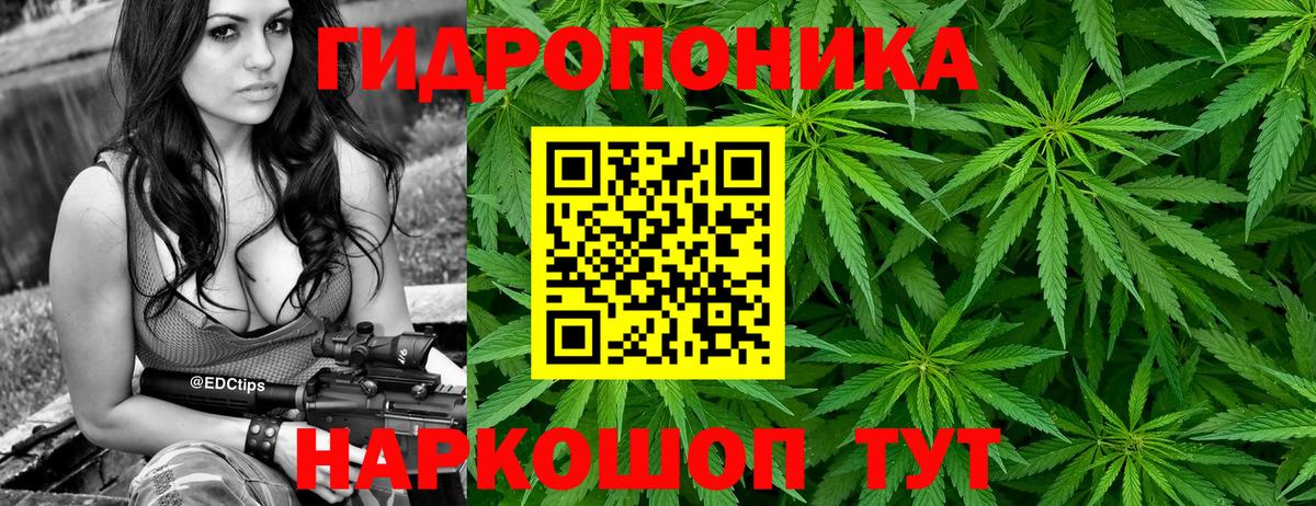 Элиста  Шишки марихуана VHQ  Бошки Шишки индика  Вход с VPN  Шишки марихуана OG Kush 